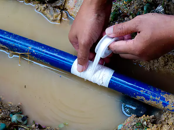  Why Choose Pawtucket Plumbing Pro for Leak Detection in Pawtucket, RI?]